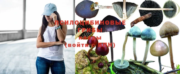 соль ск Абаза