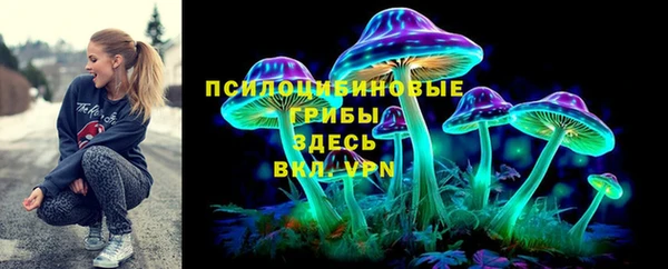 соль ск Абаза