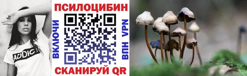 Псилоцибиновые грибы прущие грибы где найти Волоколамск