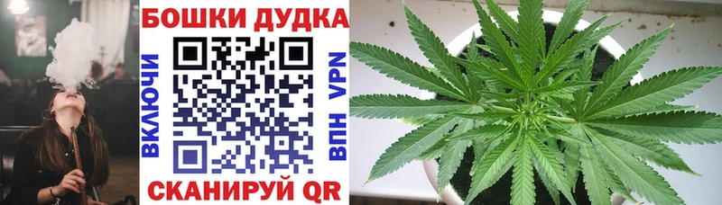 Каннабис план  что такое   Волоколамск 